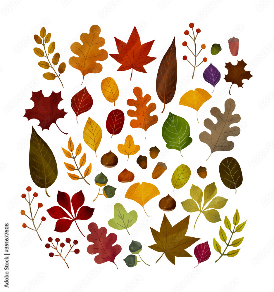 Obraz premium 紅葉の葉ベクターフレーム 