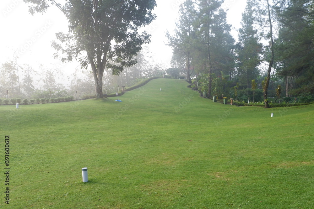 Fototapeta premium path in the park