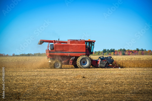 Harvester harvesting corn in a field in the fall in Quebec