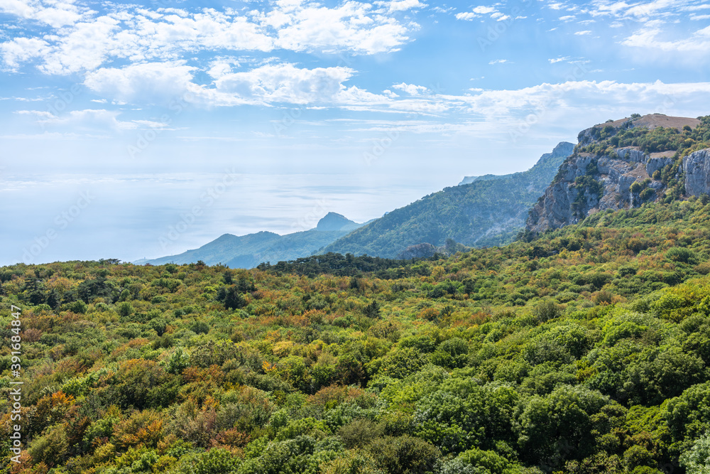 Obraz premium Rocky mountain on sea shore with high green trees on slope