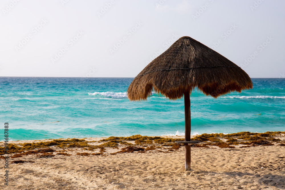 Palapa Palapa