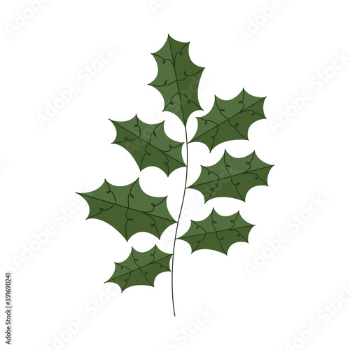 happy merry christmas branch with leafs
