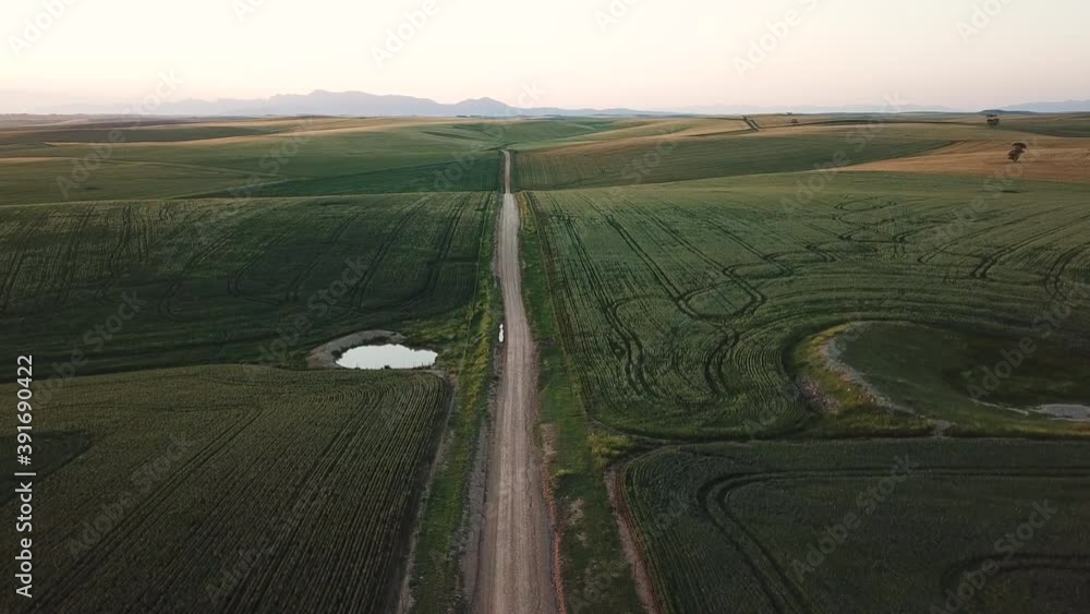Crane up aerial shot ascending over Barren dirt country road exiting Farmland, surrounded by wheat crop Crane up aerial shot ascending over Barren dirt country road exiting Farmland, surrounded by wheat crop