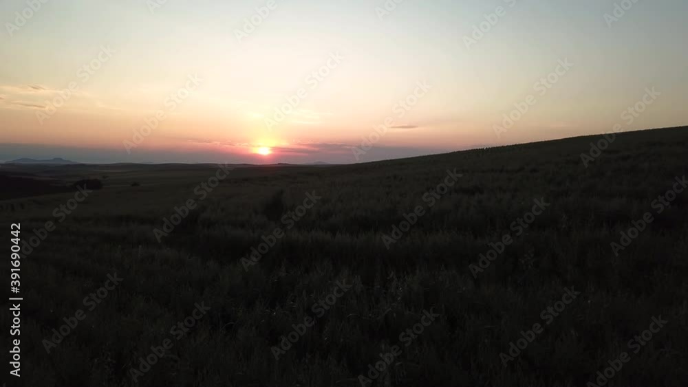 Fast fly over aerial shot showcasing a beautiful sun setting over a vast wheat crop Fast fly over aerial shot showcasing a beautiful sun setting over a vast wheat crop