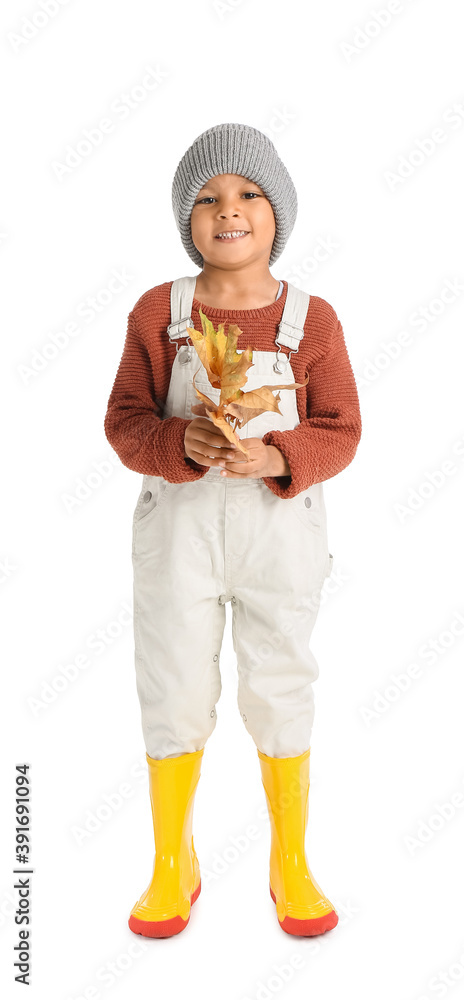 Cute African-American boy with autumn leaves on white background
