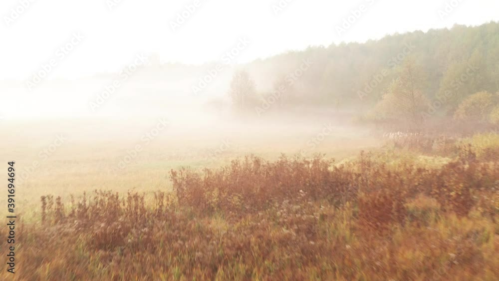 Low speed drone flight over yellowed grass on riverbank in misty haze Low speed drone flight over yellowed grass on riverbank in misty haze