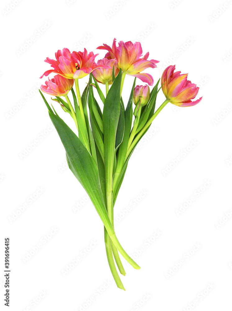 Coral and yellow tulip flowers in a bouquet Coral and yellow tulip flowers in a bouquet