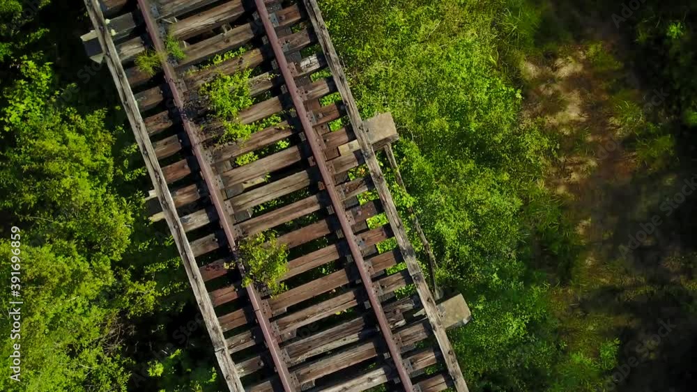 Train track and iron truss bridge ruin over the Altamaha River in South