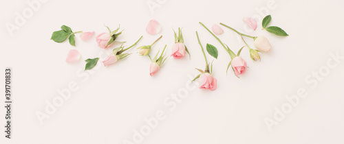 Wallpaper Mural pink and white flowers on white  paper  background Torontodigital.ca