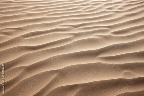 sand dunes in the desert © stciel