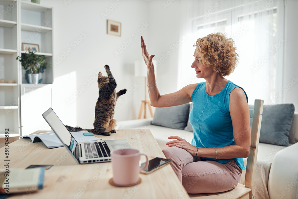 Woman working from home on a laptop / notebook with cat pet with her. - obrazy, fototapety, plakaty 