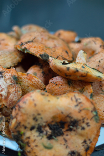 Vertical shot of kanlica mantari mushroom on a plate photo