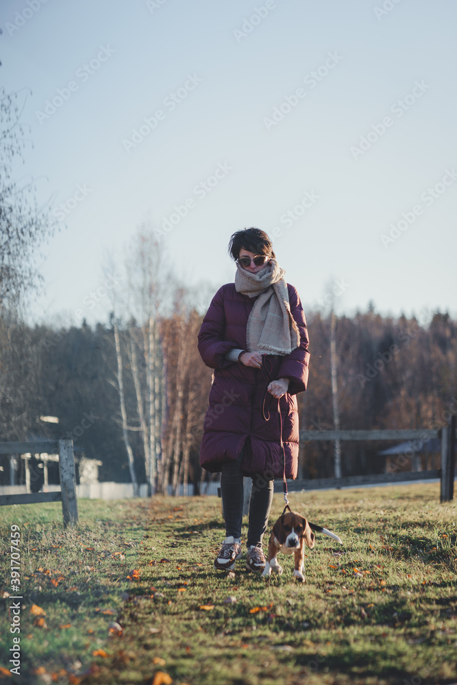 Girl in a red coat down jacket with beagle puppy, walking autumn lawn. Girl in a red coat down jacket with beagle puppy, walking autumn lawn.