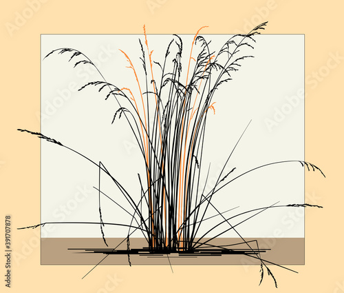 Silhouette of dry steppe grass