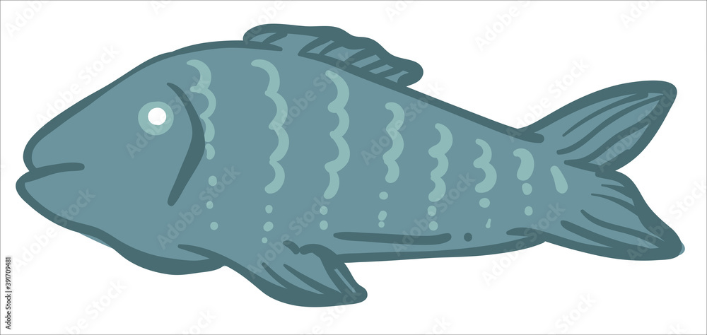 Obraz premium Fish animal, cooking and preparing sea meat food