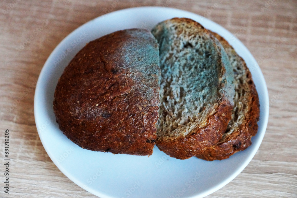 moldy rye bread on a white plate close up