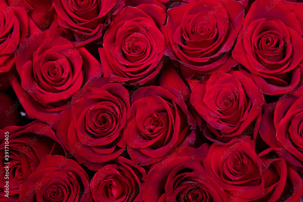 background texture red roses background texture red roses