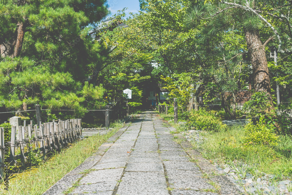 Fototapeta premium 嵐山【京都】
