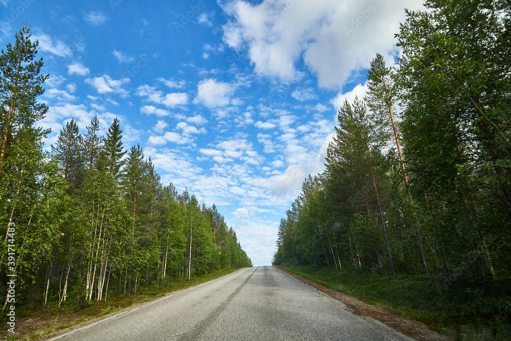 Fototapeta premium Beautiful landscape with blue sky, white clouds and the road that goes to the horizon with the forest and trees on the roadsides