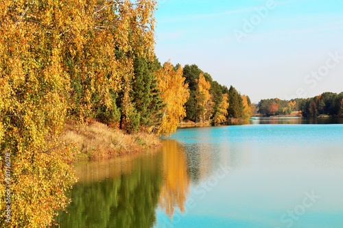 Fototapeta Naklejka Na Ścianę i Meble -  Lake surrounded by golden autumn trees