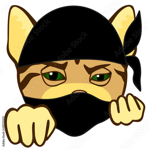 emoji with cranky ninja wearing a mask or hood, japanese cat assassin ready to kill on white isolated background, simple colored emoticon