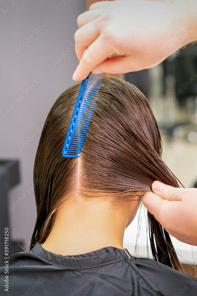 Fototapeta premium Back view of hairdresser hands parting long hair of young woman in hair salon