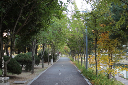 Paved pedestrian way or walk way with trees on sides for public walk