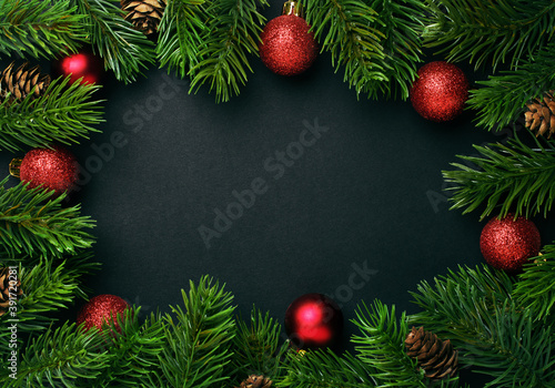 Fir tree branches on black background