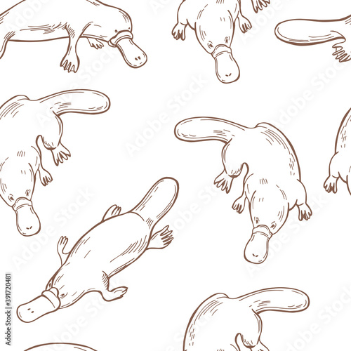 Platypus. Vector   pattern.