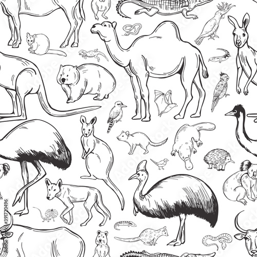 Animals and birds of Australia.