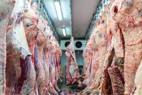 Obraz na plátně Meat industry at slaughterhouse, meats hanging in the cold store
