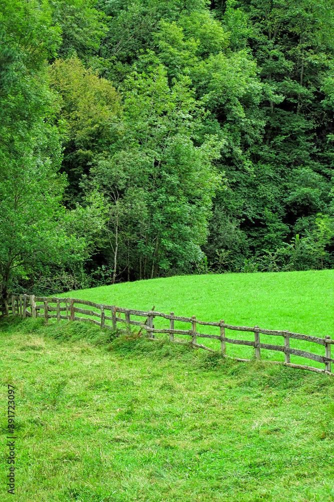 Hills and Valleys Landscape, Redes Natural Park, Principality of Asturias, Asturias, Spain, Europe Hills and Valleys Landscape, Redes Natural Park, Principality of Asturias, Asturias, Spain, Europe
