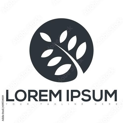 nature ecology leaf element logo