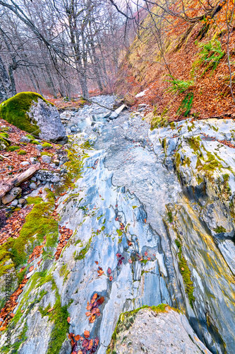 Petrechema Ravine, Petrechema River, Beech  Forest of Gamueta, Linza Valley, Valles Occidentales Natural Park, Jacetania, Pyrenees, Huesca, Aragon, Spain, Europe photo