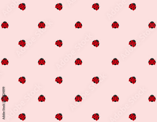 pattern background, insects red ladybugs