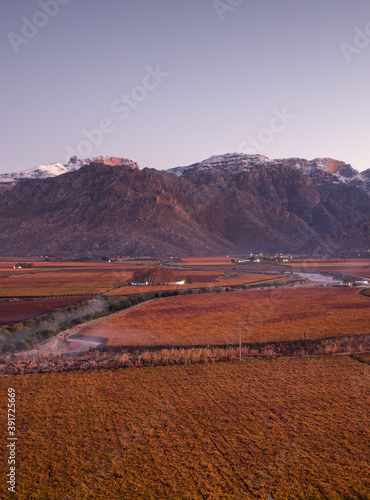 Wide angle views over the Hex River valley in the western cape of south africa, an area known for its table grapes photo