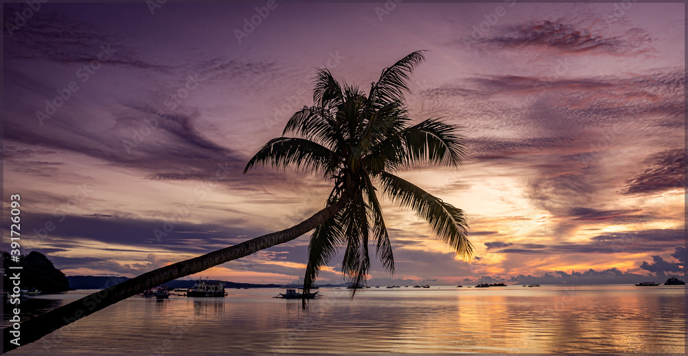 Palm tree and colourful sunrise in Boracay , Philippines