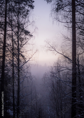 Crisp winter dusk photo