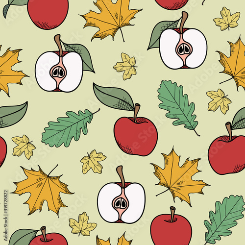 Autumn pattern apples and leaves, botanical illustration hand drawn repeat pattern background vector.. Autumn nature, apple and leaves seamless pattern.