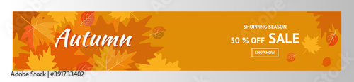 Autumn sale. Promotion banner 50%. Autumn discount. Vector of falling leaves. For store brochure, web banner, flyer .