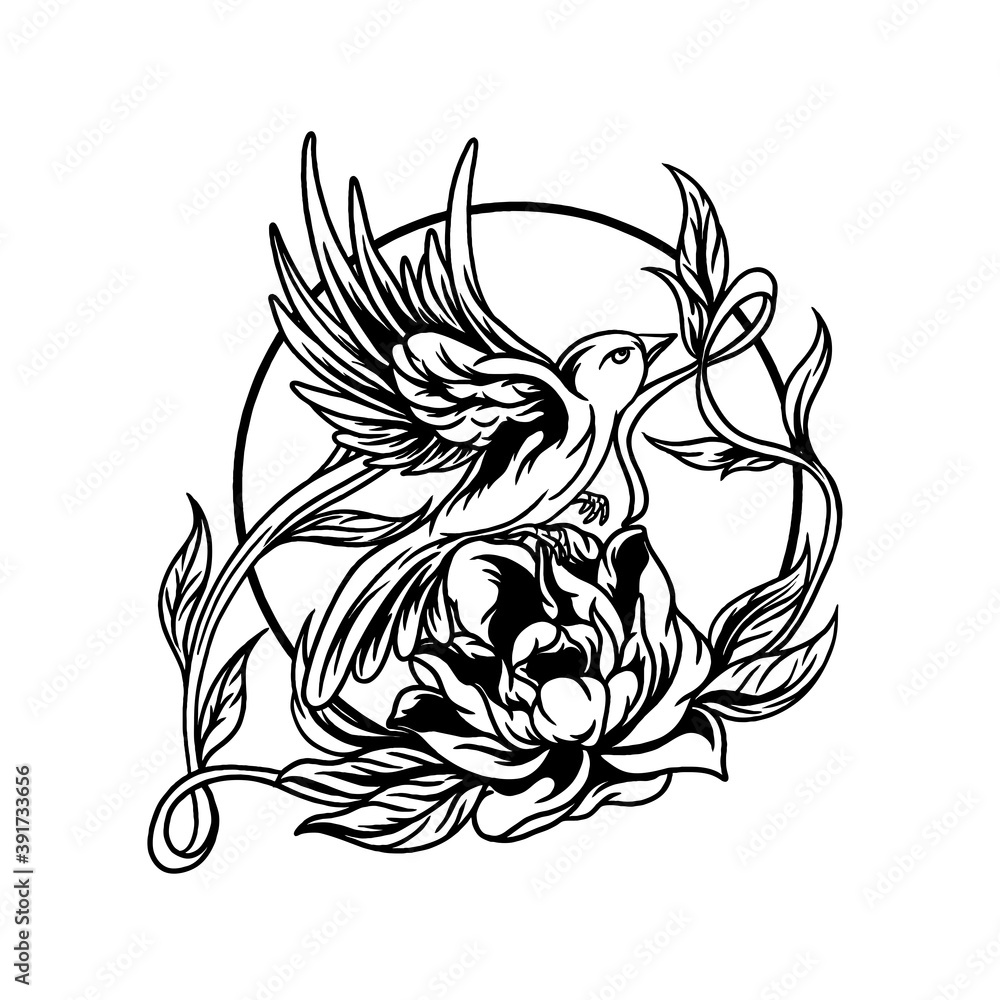 Humming bird and rose illustration Humming bird and rose illustration