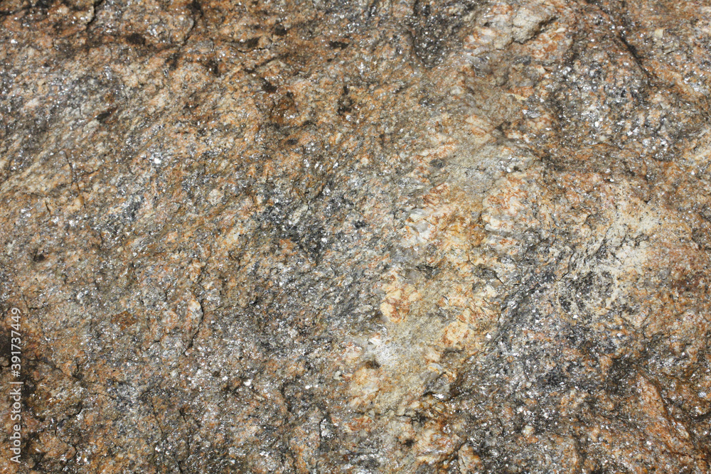Gneiss surface texture. Metamorphic rock Gneiss surface texture. Metamorphic rock