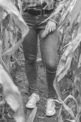 Black and white shot of Crop view of Young woman farmer with corn harvest. Worker holding autumn corncobs. Farming and gardening