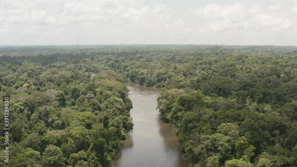 Over the river on the Amazonian forest Over the river on the Amazonian forest