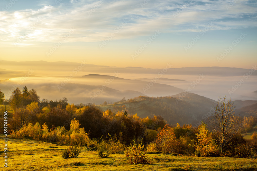 thick fog in the mountains at sunrise autumn season. Beautiful background.