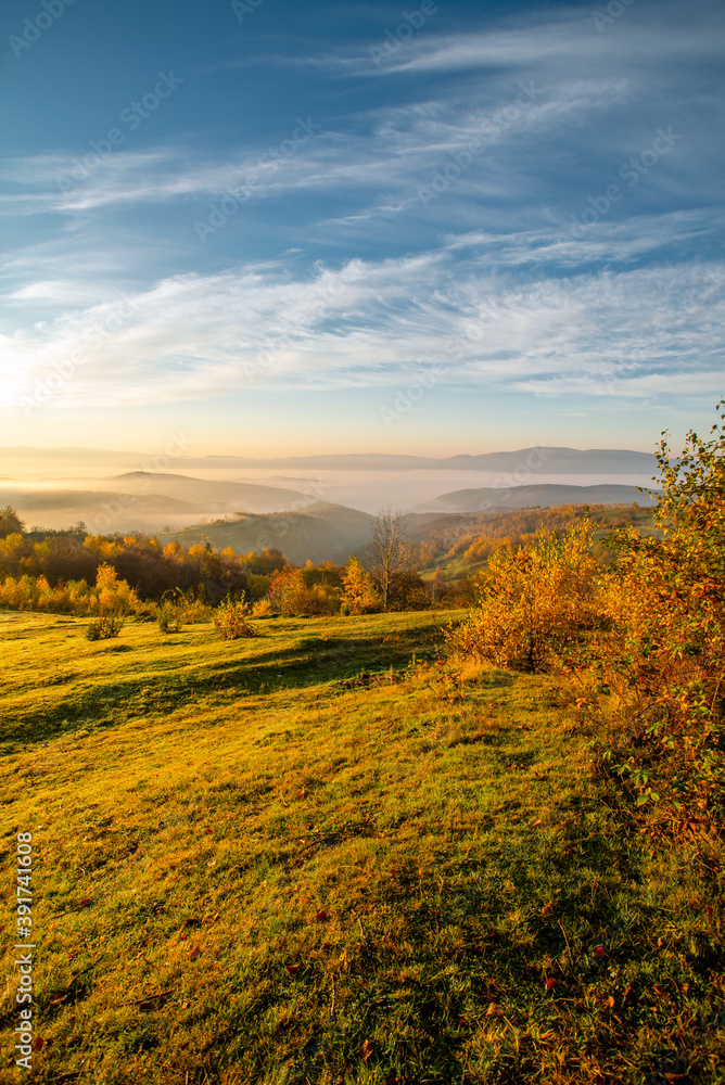 vertical photo of thick fog in the mountains at sunrise autumn season. Beautiful background.