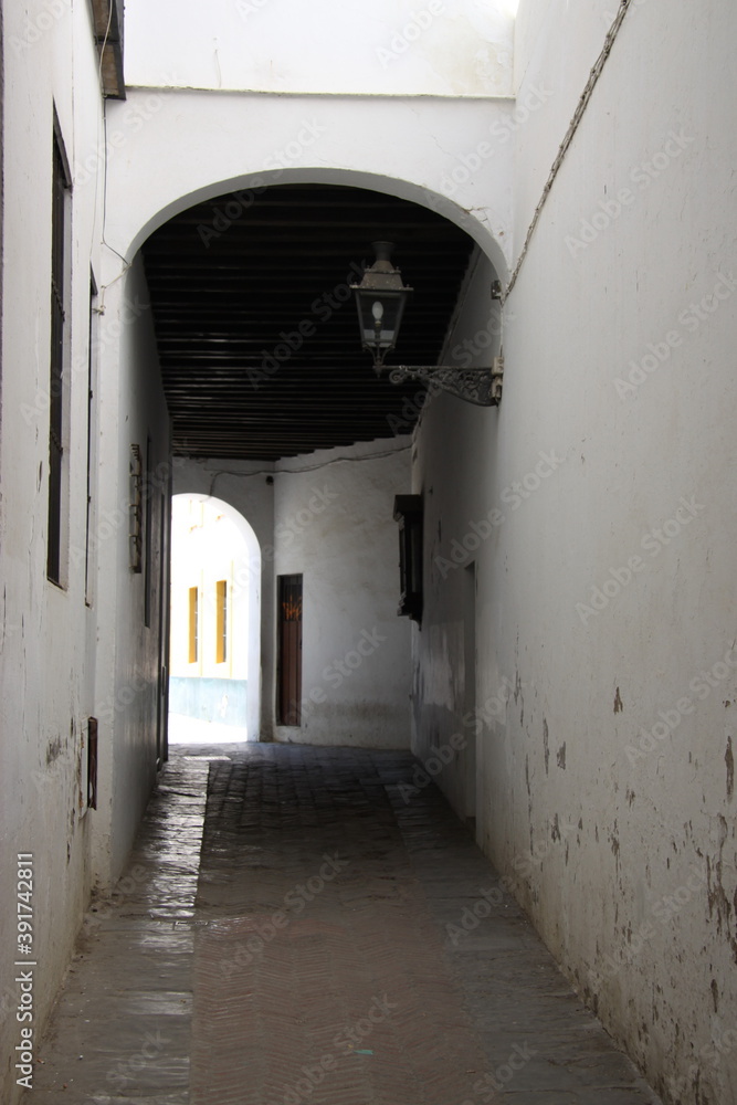 Fototapeta premium A narrow street in the old part of Seville