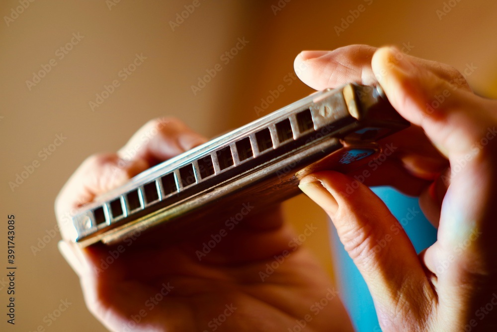 playing the harmonica - obrazy, fototapety, plakaty 