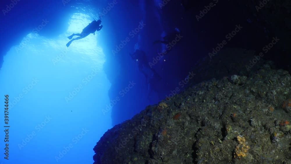 scuba divers enjoying the topography and fauna underwater ocean scenery scuba divers enjoying the topography and fauna underwater ocean scenery
