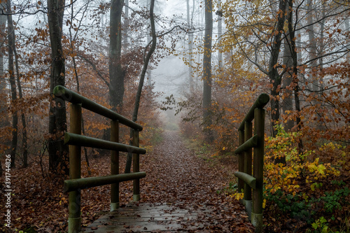 Brücke im Nebel